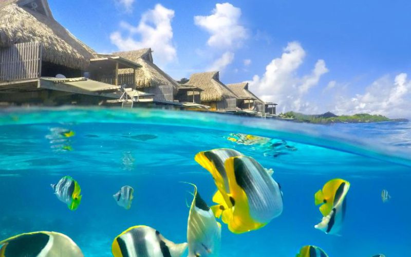 Hotel Conrad Bora Bora - ABF Overwater Villa 8
